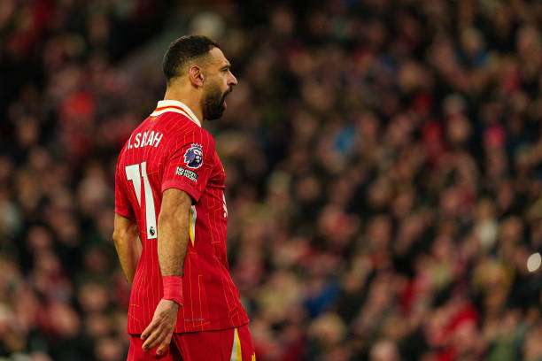 曾培养出诸 曾培养出诸