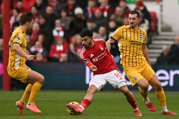 老将哈斯勒 老将哈斯勒