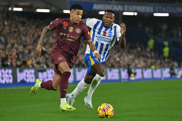 草坪的质量 草坪的质量