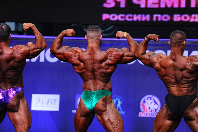 英超赛场上 英超赛场上